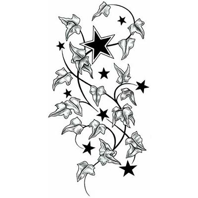 Star Design Water Transfer Temporary Tattoo(fake Tattoo) Stickers NO.11561